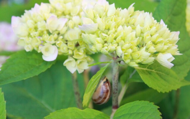 Quaint Holiday Home in Kropelin Germany with Sauna