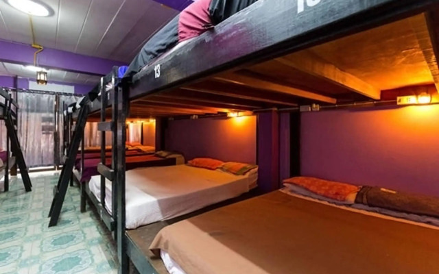 Wild & Wandering Backpacker & Bar