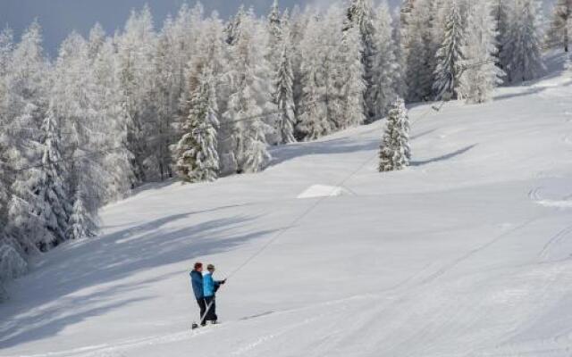 Sattlegger's Alpenhof & Feriensternwarte