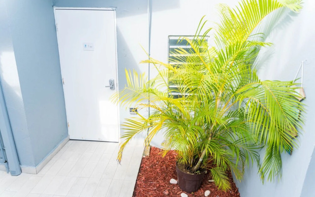 The Pelican Poshtel