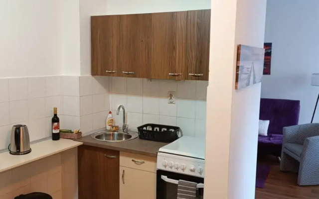 Splendid Two Bedroom Apartment Anastas Mitrev 25