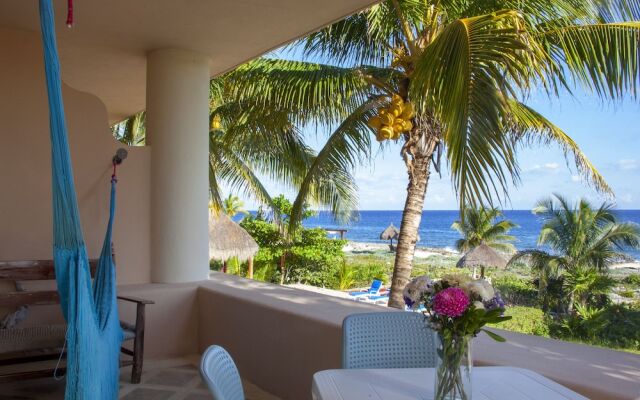 Homing Bird Apartments