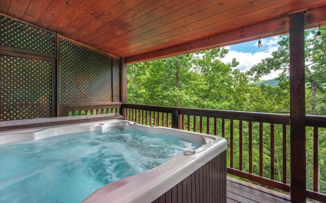 Beary Nice to Meet You!