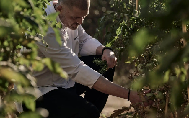 Celestial All Suites