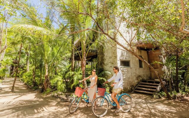 Tulum Vida Silvestre Cabañas
