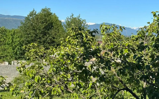 Sukhum T&H Guest House