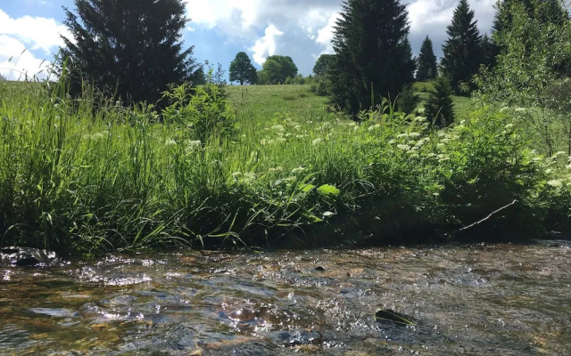 Ferienhaus Bikehütte Rehnhäusl