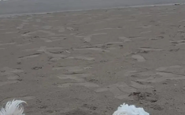 Huzur Pansiyon Mersin