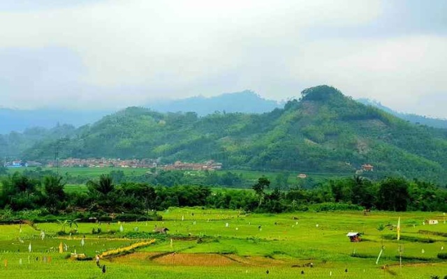 Villa Saung Kebon Ciwidey