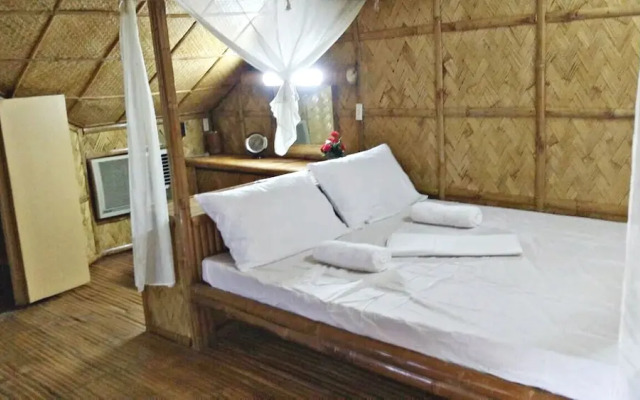V House
