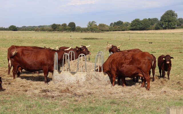 Oxen Cottage @ Nables Farm