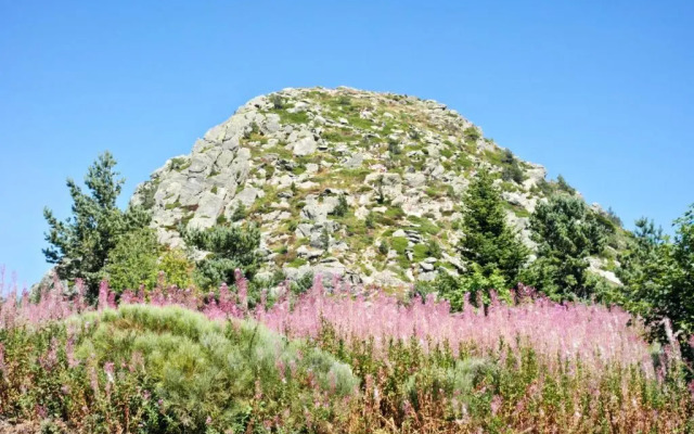 Maison de 2 chambres avec jardin amenage a Saint Basile