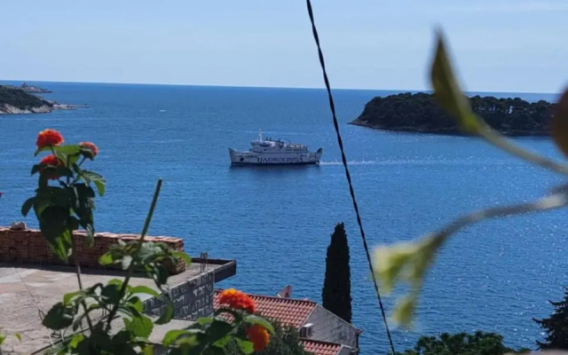 Oliva Apartments Lozica
