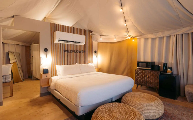 Zion Wildflower, BW Premier Collection