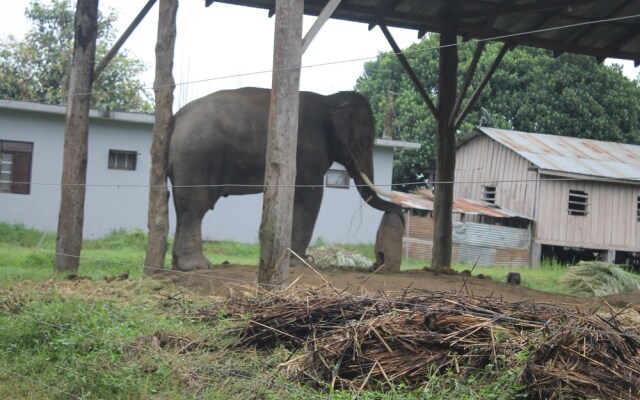 Nature Safari By Hotel The Canopy