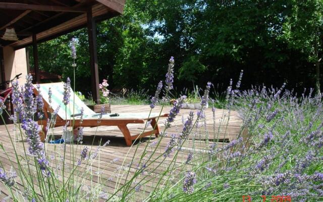 Pensiunea Bamboo - Villa