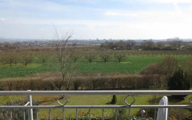 Weitblick über Mainz
