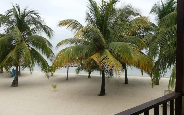 Green Parrot Beach Houses and Resort