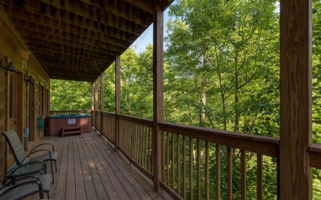 Bear Pause by Vtrips