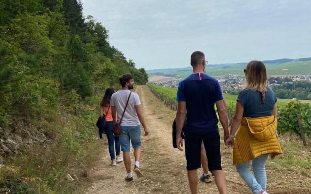 Les Appartements du Domaine Gueguen
