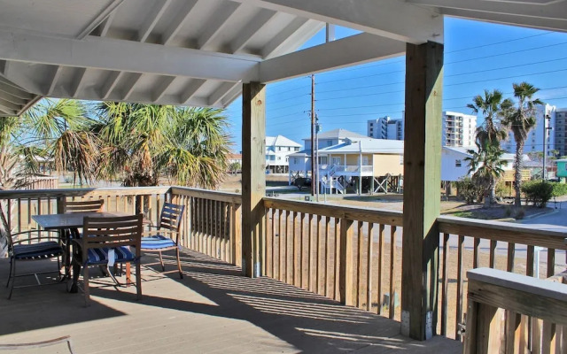 Sea Walley by Youngs Suncoast