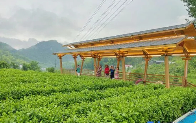 Zhuxi Tea Garden · Homestay — hotel in Anqing