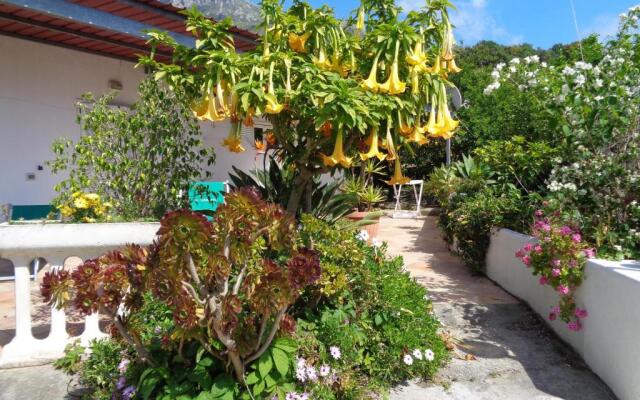 Residence Limoneto Ischia