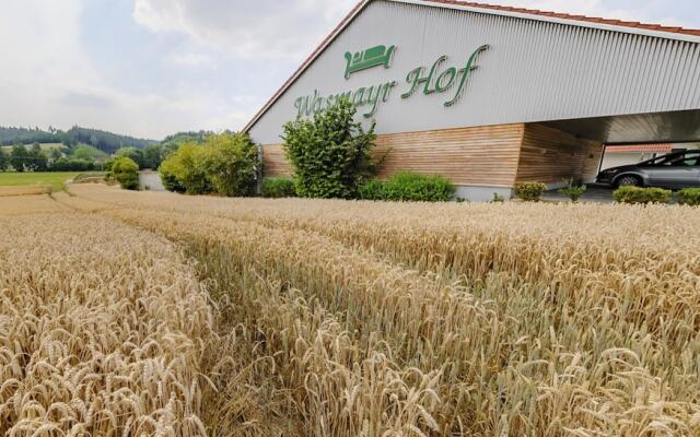 Wasmayr Hof