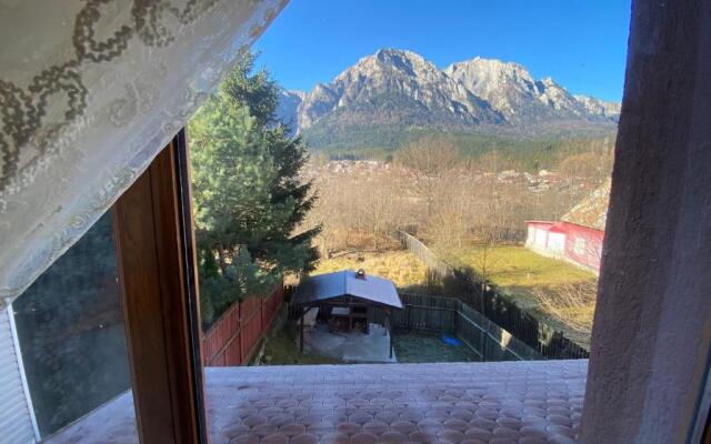 B House Bușteni