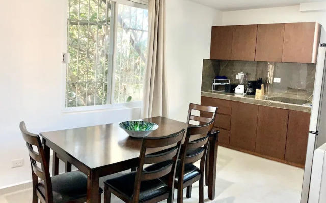 2BR Apartment near Mamitas Beach