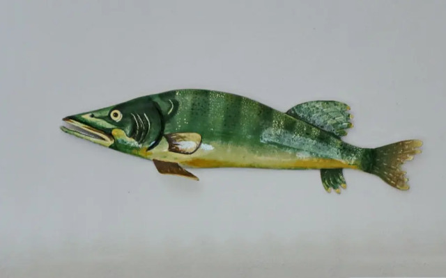 Regina Nuova 13 in Laglio