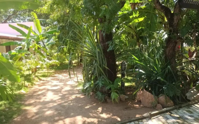 Lucky Beach Resort