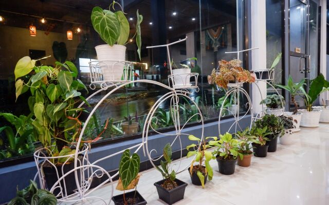 Urbanview Hotel Umbrella Dieng by RedDoorz