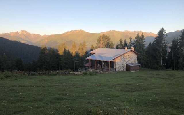 Tanevit Dag Evi
