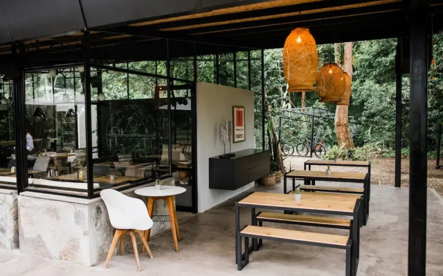 Hotel La Palma y El Tucan - Coffee & Nature