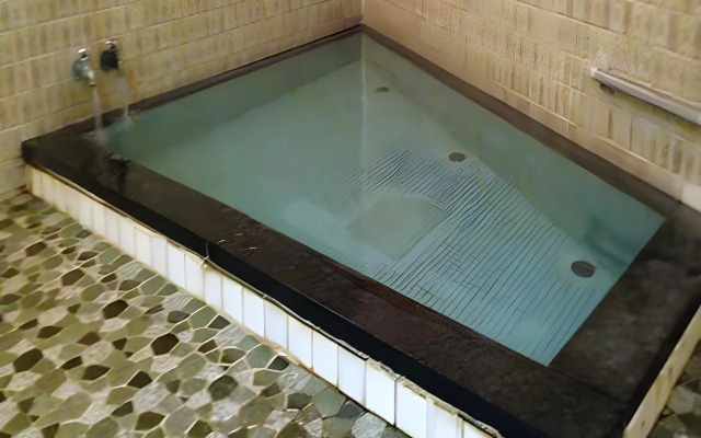 Hotel Shinwaka Lodge