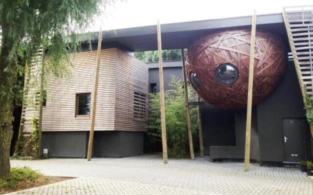 Un Nid Et Gîte à Tournai