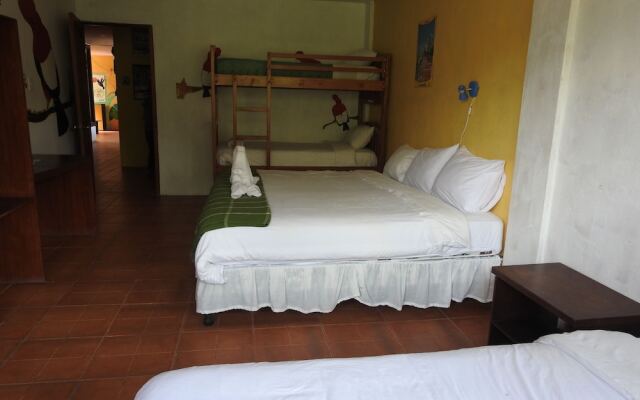 Biohostal Mindo Cloud Forest