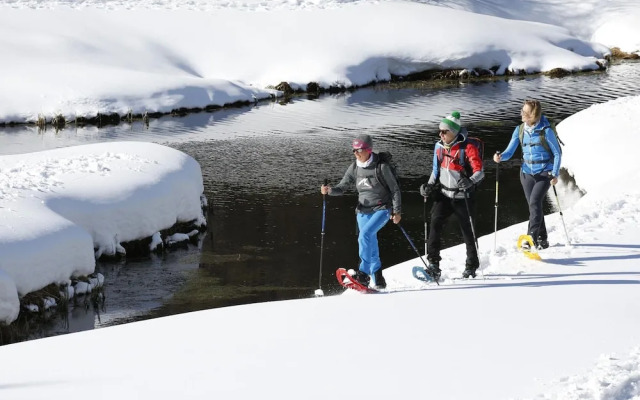 Elegant Chalet Near Ski-slopes