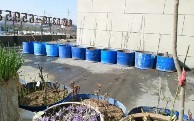 Ruiyu Guesthouse (Luoyang Longmen High-speed Railway Station)