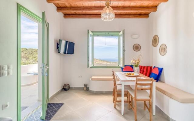 Magic 5 bdrm Villa With Swimming pool in Paros