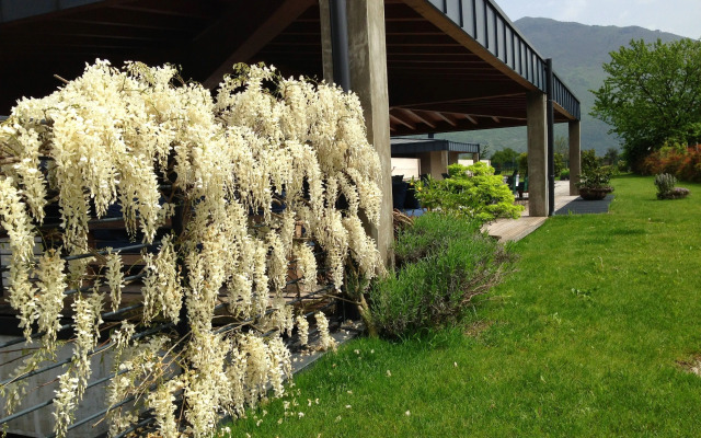 VIVERE suites and rooms