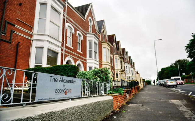 The Alexander