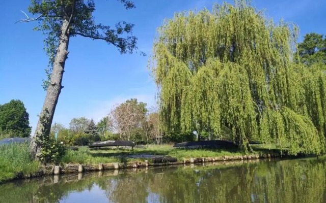 Villa G With Pool in Lubbenau