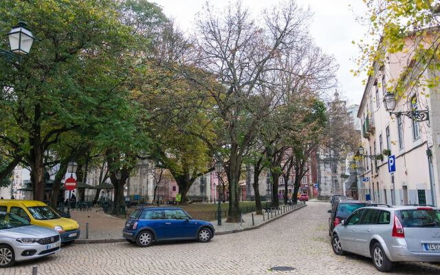 The Mulberry Tree Lisbon Hostel