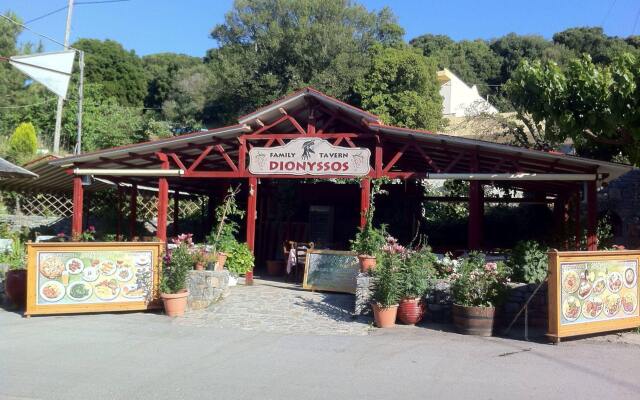 Dionysus Lasithi Plateau