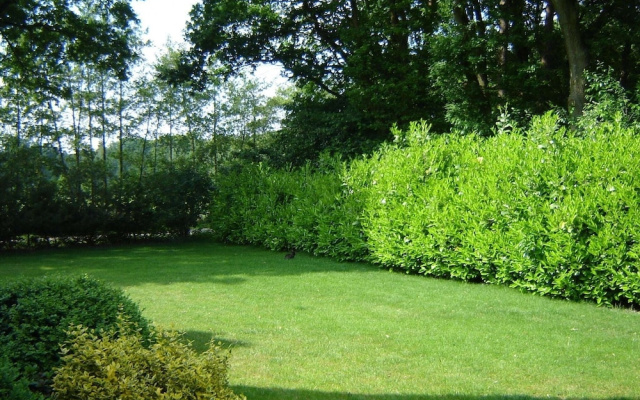 Holiday home in a rural location in Vessem, North Brabant, with sauna and hot tub
