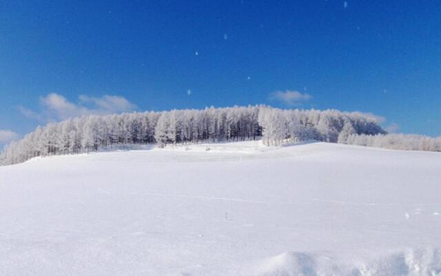 Furano - Hotel / Vacation STAY 35850