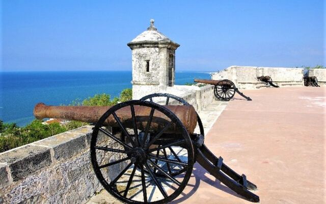 Kaeli's Caribbean Studios