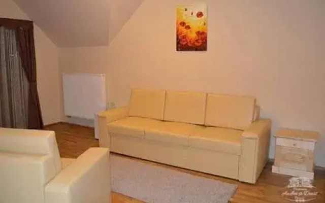 Pensiunea Andrei Si Denis